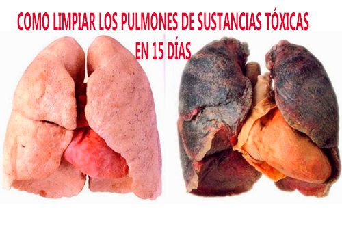 como-limpiar-los-pulmones
